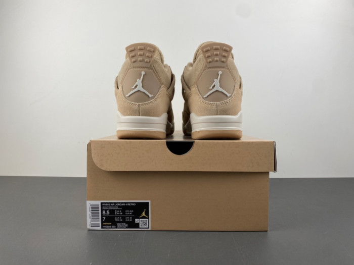 Air Jordan 4 Retro HV0823-200