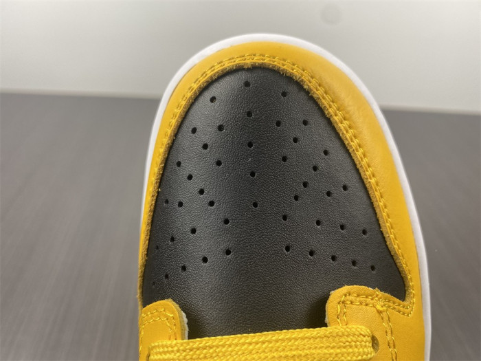 nike dunk low goldenrod (2021) dd1391-004
