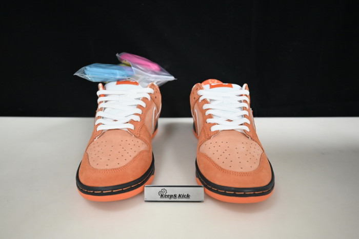 concepts x dunk low sb 