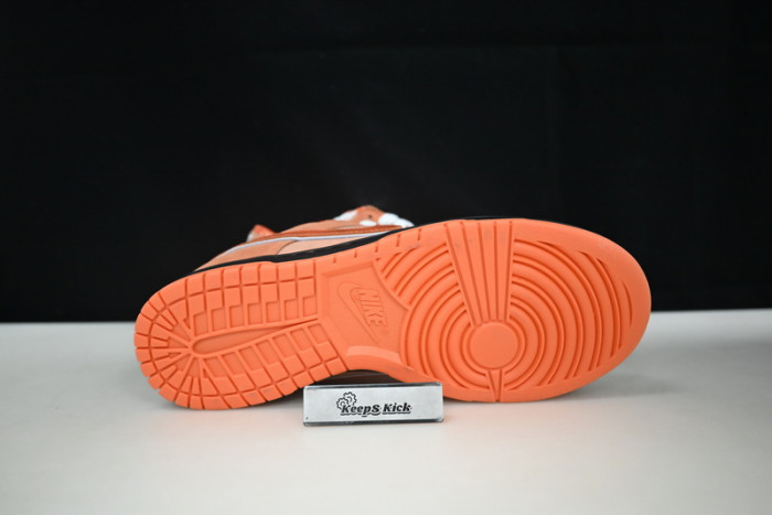 concepts x dunk low sb 