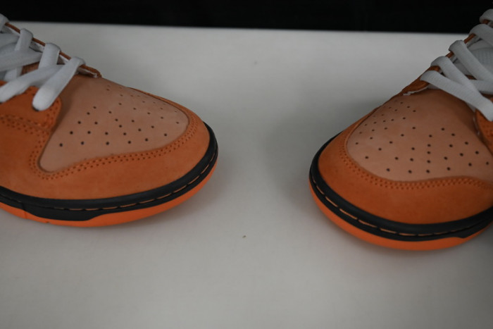 concepts x dunk low sb 